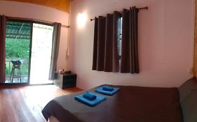 Bamboo Hut Bangalow